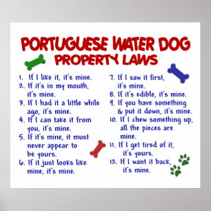 PORTUGIESISCHER WASSER-HUND PL2 POSTER