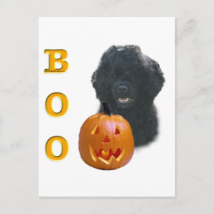 Portugiesischer Wasserdog Boo Postkarte