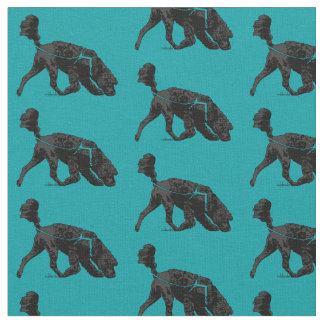 Portugiesischer Wasserdog - Track / Scent Turquois Stoff