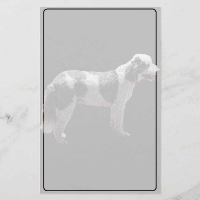 Portugiesischer Wasserhund Briefpapier (Vorderseite)