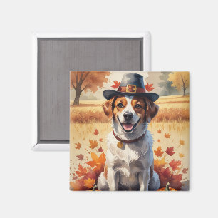 Portugiesischer Wasserhund im Herbst verlässt Ernt Magnet