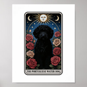 Portugiesischer Wasserhund Poster