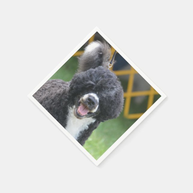 Portugiesischer Wasserhund Serviette (Ecke)