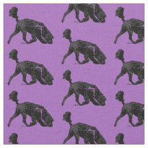 Portugiesischer Wasserhund - Track / Scent Lila 2 