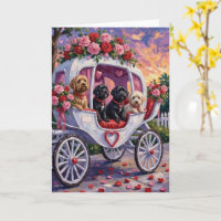 Portugiesischer Wasserhund Valentinstag