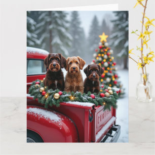 Portugiesischer Wasserhund Weihnachten Rotes Lastw Karte