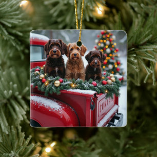 Portugiesischer Wasserhund Weihnachten Rotes Lastw Keramikornament