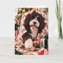 Portugiesischer Wasserhund Weihnachtskarte