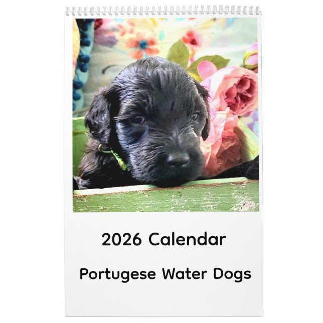 Portuguese Water Dog Calendar 2026 Kalender (Titelbild)