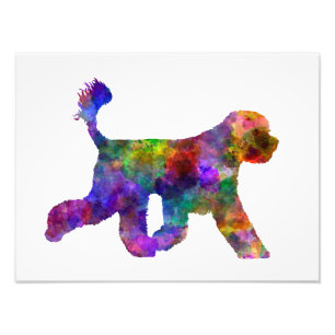 Portuguese Water Dog im Watercolor Fotodruck