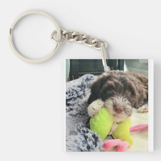 Portuguese Water Dog Key Chain Schlüsselanhänger (Vorderseite)