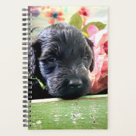Portuguese Water Dog Planner Sweet Planer