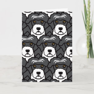 Portuguese Water Dogs Karte