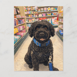 Portuguese Water Dogs Kawaii Anime Postcard Postkarte