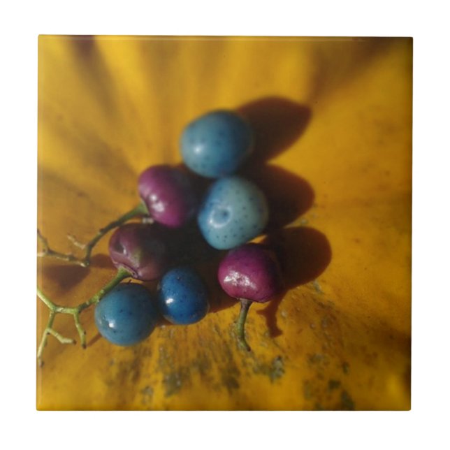 Porzellan Berries und Pumpkin Fliese (Vorderseite)