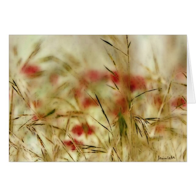 Porzellan-Brise (Vorderseite (Horizontal))