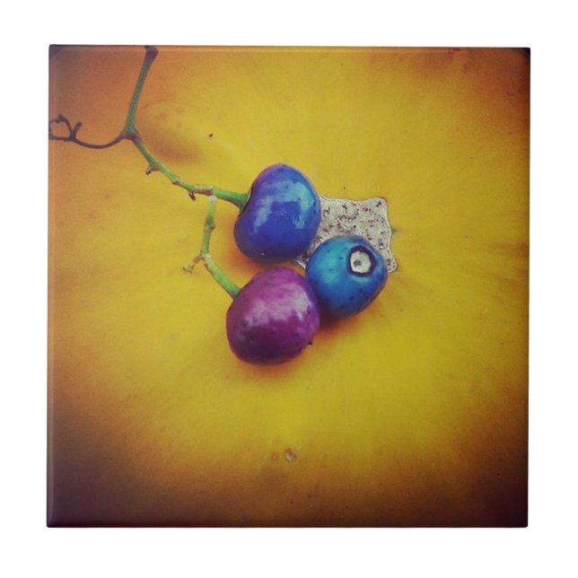 Porzellanberries auf einem Kürbis Fliese (Vorderseite)