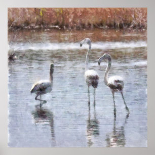 Pose Flamingo Wasserfarbe Poster