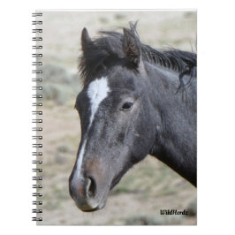 Poseidon-Notebook von Sand Wash Basin Notizblock