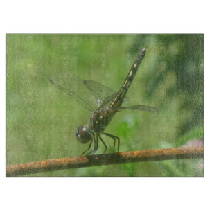 Posen des Glassschneiders Dragonfly Schneidebrett