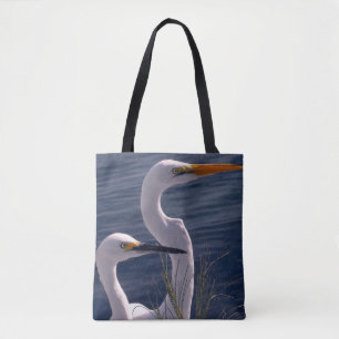 Posing Egrets