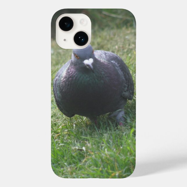 Posing-Taube Case-Mate iPhone Hülle (Rückseite)