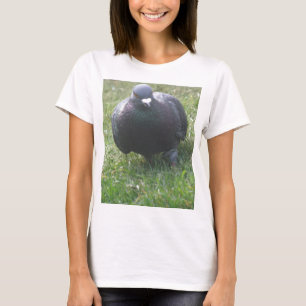 Posing Taube Ladys T Shirt