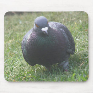 Posing Taube Mousepad