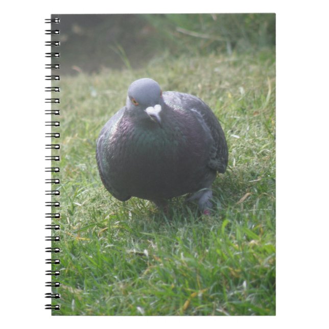 Posing-Taube-Notebook Notizblock (Vorderseite)