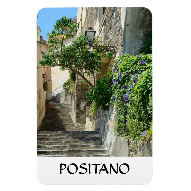Positano, Italien Magnet (Vertikal)