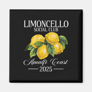 Positano Italien Urlaub Limoncello Amalfi Küste Va Magnet