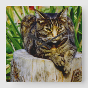 Position Cat Quadratische Wanduhr