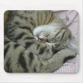 Position der Katze Mousepad