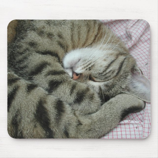 Position der Katze Mousepad (Vorne)