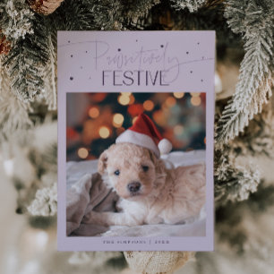 Positiv Festlicher Hund Foto Lila Weihnachten