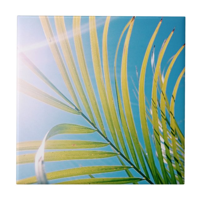 Positive Vibes Palm Tree Sunny Fliese (Vorderseite)