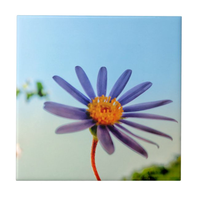 Positive Vibes Wild Soft Blue Blume Fliese (Vorderseite)