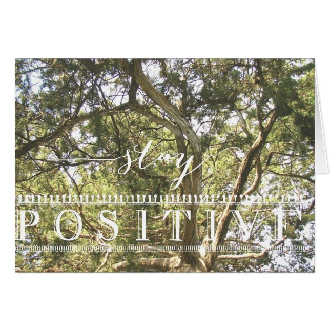 Positiver Baum bleibe (Vorderseite (Horizontal))