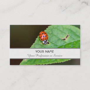 Positiver und glücklicher Ladybug für Zen und Bild Visitenkarte