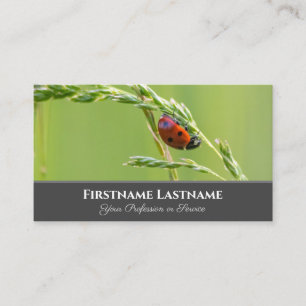 Positiver und glücklicher Ladybug für Zen und Bild Visitenkarte