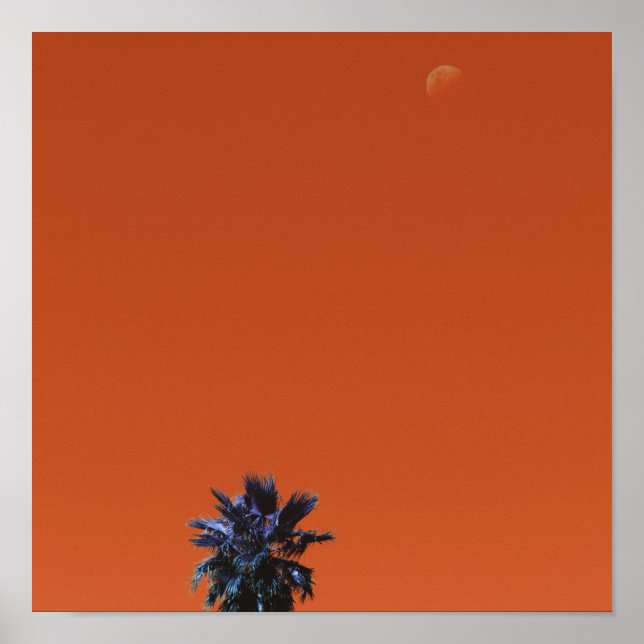 Positiver Vibes Tropical Palm Tree Moon Minimalism Poster (Vorne)