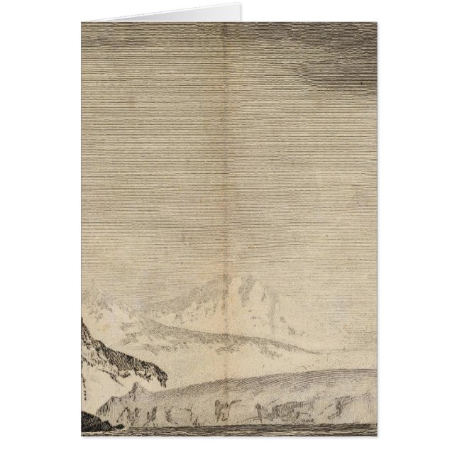 Possession Bay, Südgeorgien (Vorne)