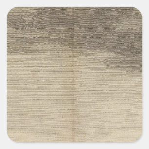 Possession Bay, Südgeorgien Quadratischer Aufkleber