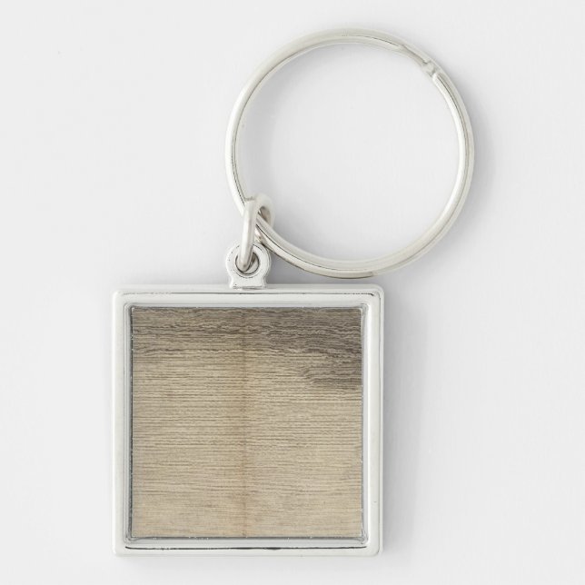 Possession Bay, Südgeorgien Schlüsselanhänger (Vorne)