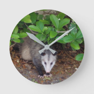 Possum Acrylic Wall Clock Runde Wanduhr