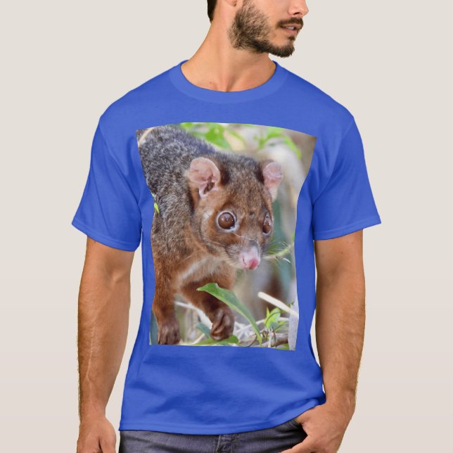 Possum at Arkarra Lagoons caesium funny T-Shirt (Vorderseite)