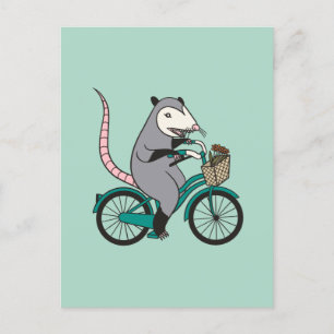 Possum Fahrrad fahren Postkarte