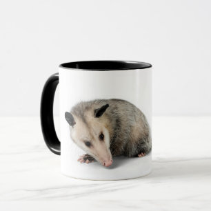 Possum Life - Sigh. Tasse