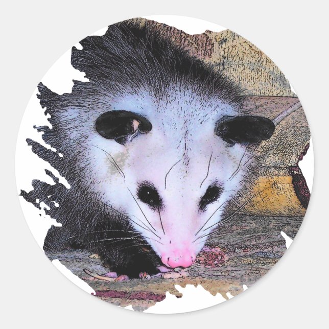Possum Opossum Runder Aufkleber (Vorderseite)