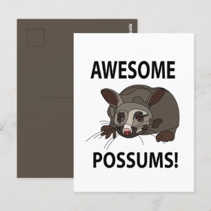 Possum Phantastisch Funny Possum Postkarte